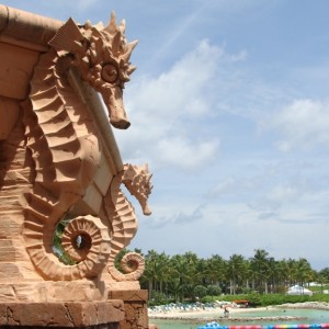 Atlantis Waterpark Lagoon View