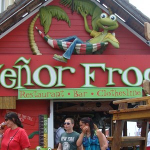 Senor Frog's