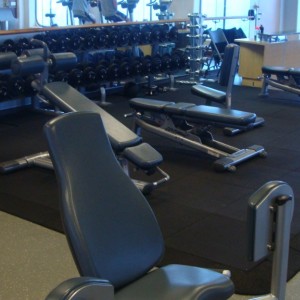 The Gym