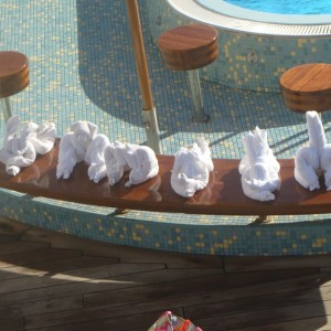 Towel Animals