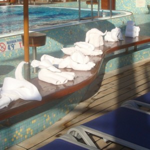 Towel Animals