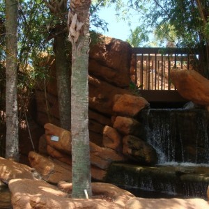 Radisson pool and waterfalls