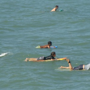 Surfers