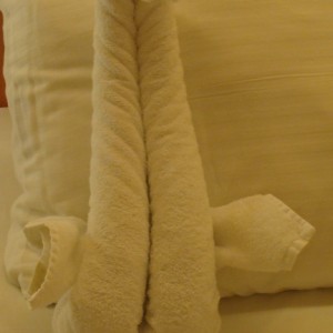 Tonight's turndown & towel animal