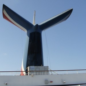 View of the funnel