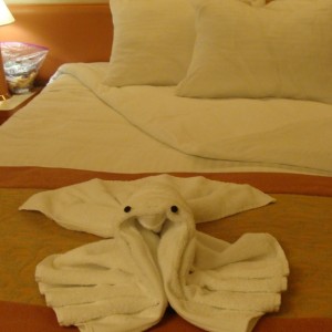 Tonight's turndown & towel animal