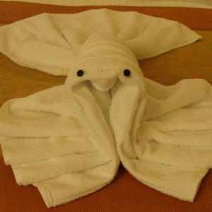 Tonight's Towel Animal