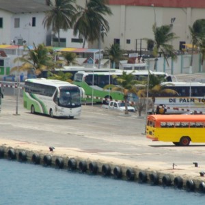 Tour buses lined up