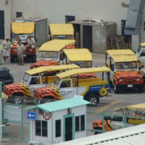 Safari Jeeps wait for us to arrive