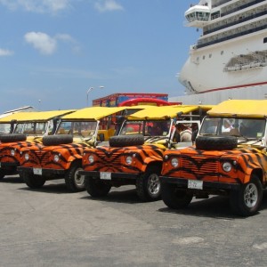 Safari Jeeps lined up