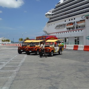 Safari Jeeps lined up