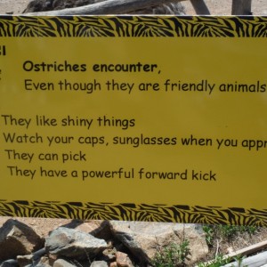 Ostrich encounter sign