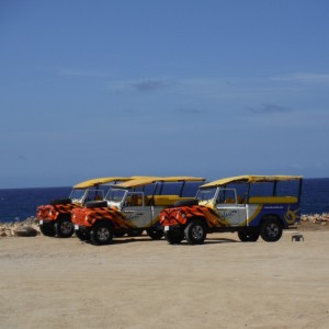 Our jeeps parked at Bushiribana