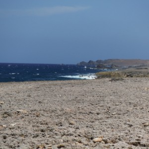 Desolate North Coast of Aruba