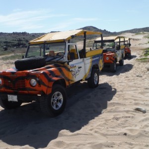 Our Jeeps parked on the beach