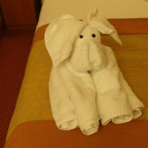 Tonight's Towel Animal