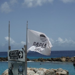 Cabana Beach flag