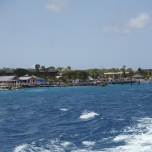 Pelican Express - Curacao coastline views