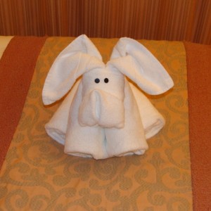 Tonights Towel Animal