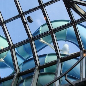 Looking up at the skylight