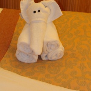 Tonights Towel Animal