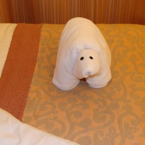 Tonights Towel Animal