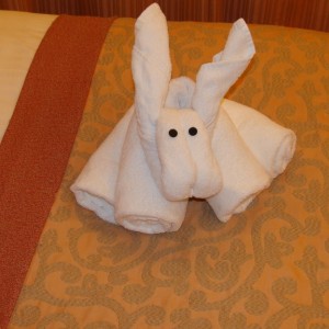 Tonight's towel animal