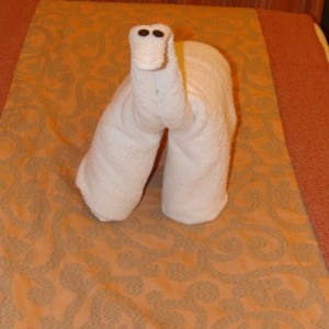 Tonight's towel animal