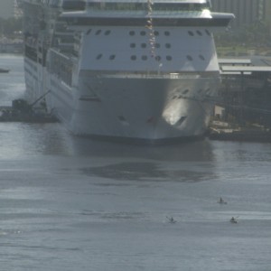 Serenade of the Seas and Celebrity Summit