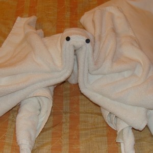 First towel creature