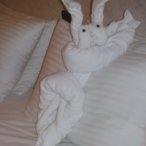 Tonight's turndown service & towel creature