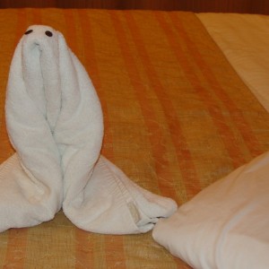 Our final towel creature