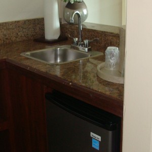 Sink and fridge