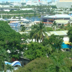 Window view - Bayside