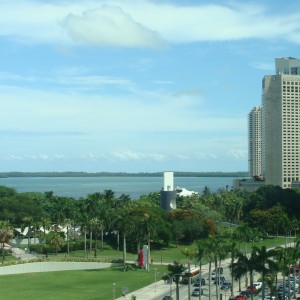 Window view - The Bay