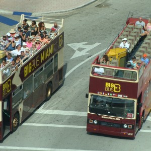 Miami Tour busses