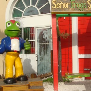 Senor Frog's