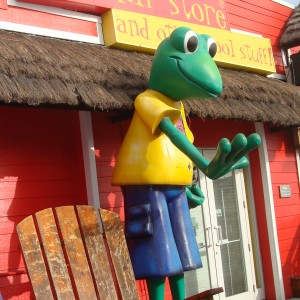 Senor Frog's