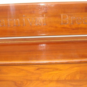 Carnival Breeze bench