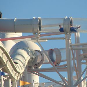 Disney Fantasy Aqua Duck