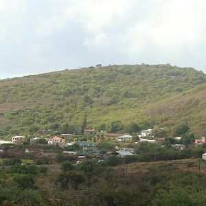 Scenic Railway view