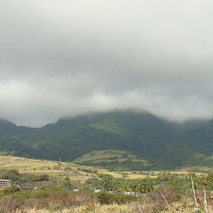 Scenic Railway view