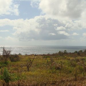 Scenic Railway view