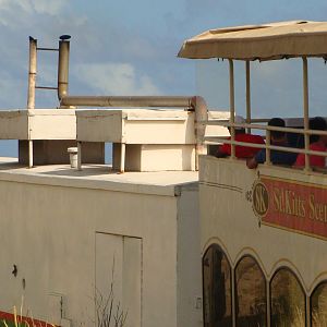 Scenic Railway view