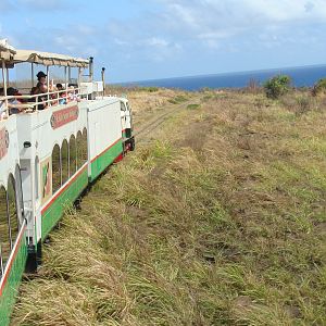 Scenic Railway view