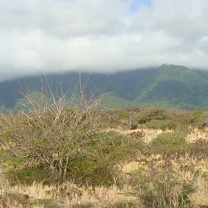 Scenic Railway view