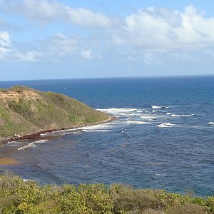 Scenic Railway view