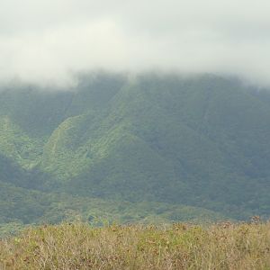 Scenic Railway view