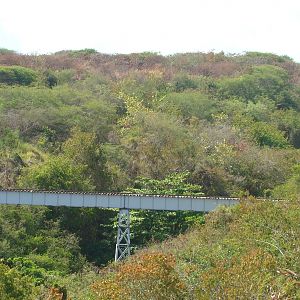 Trestle we just crossed