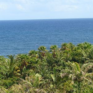 Coastline view